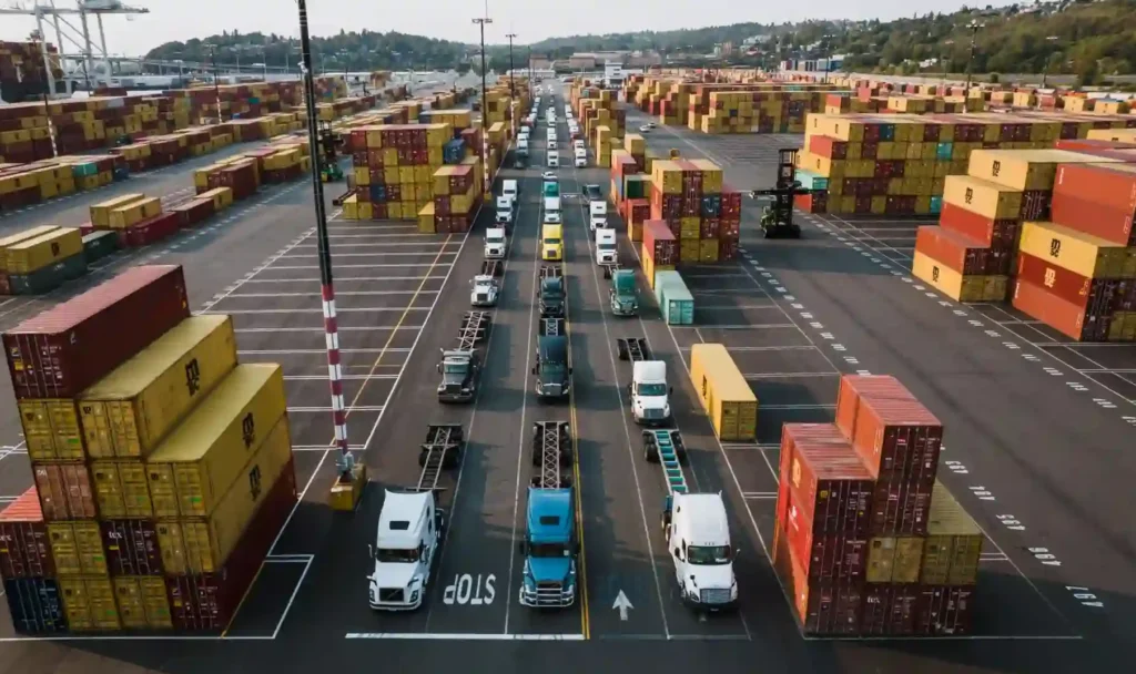 Container port terminal panoramic view with cranes