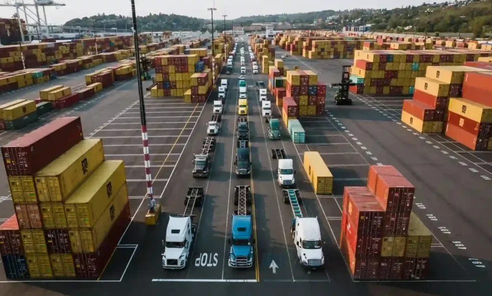Container port terminal panoramic view with cranes